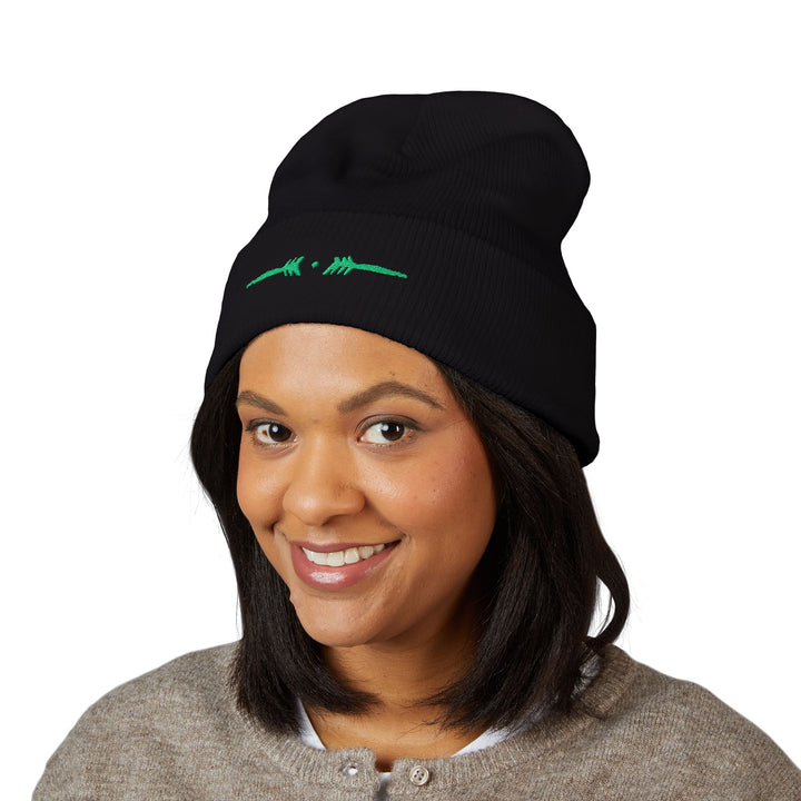 Classic Cuffed Embroidered Beanie - Spruce on Black