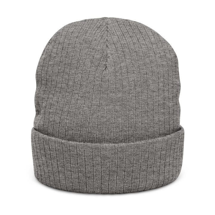 Embroidered Ribbed Knit Beanie - Ash