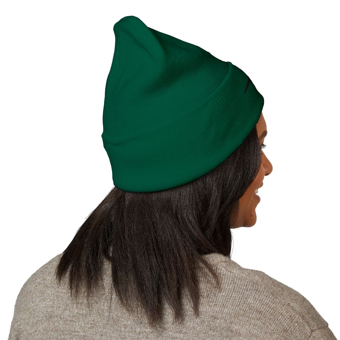Classic Cuffed Embroidered Beanie - Spruce