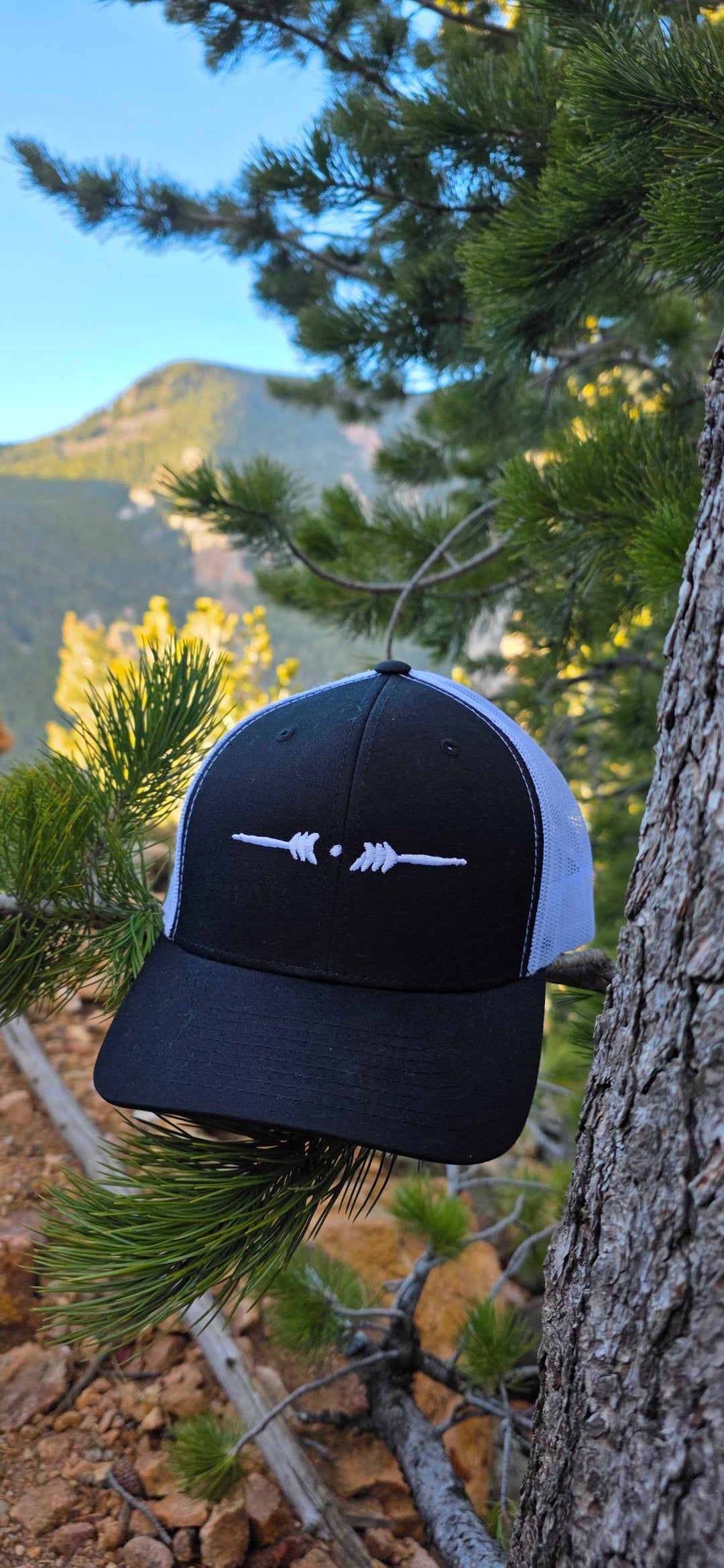 Eternal Arrows Snapback Cap - B&W