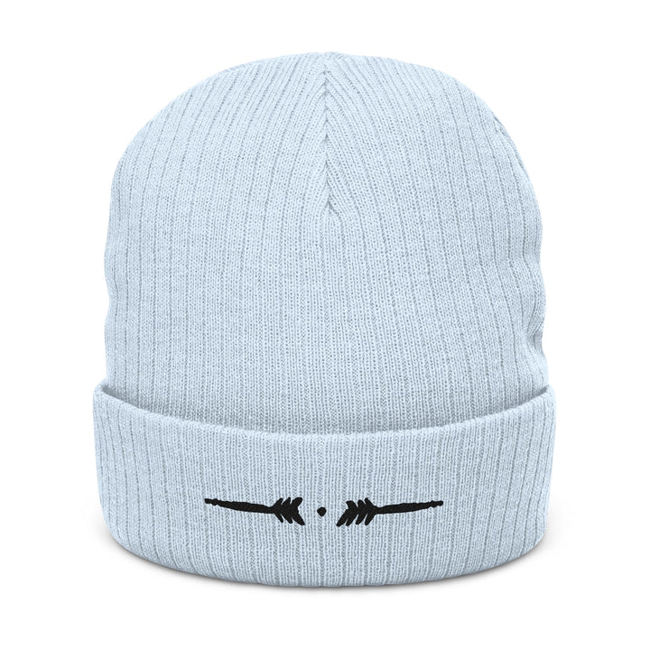 Embroidered Ribbed Knit Beanie - Periwinkle