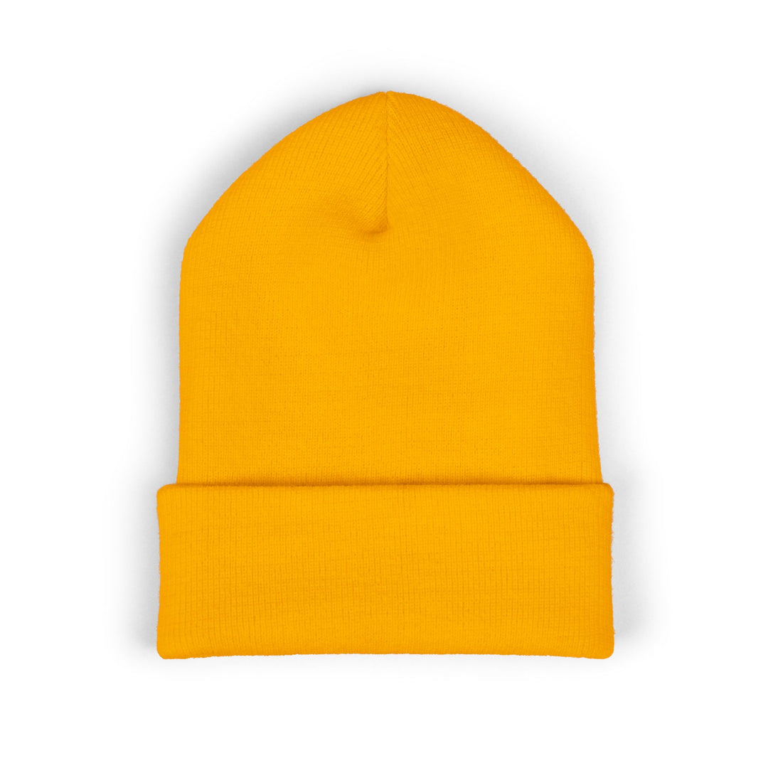 Classic Cuffed Embroidered Beanie - Spruce on Honey
