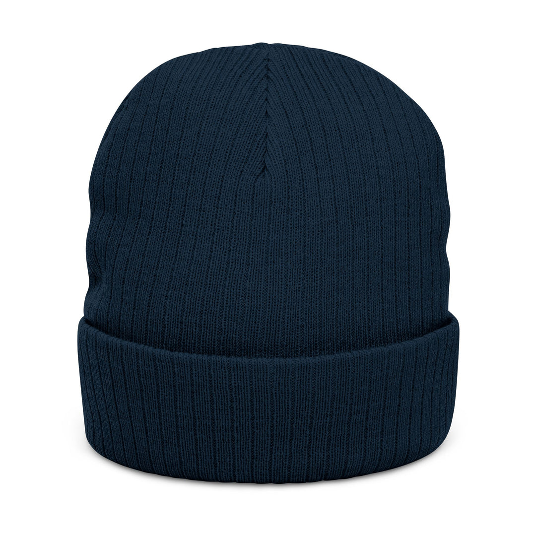 Embroidered Ribbed Knit Beanie - Deep Freeze